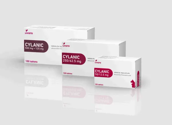 Opakowania leku CYLANIC dla psa i kota, różne moce: 500 mg + 125 mg, 250/62.5 mg, 50/12.5 mg.