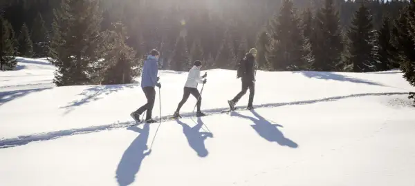 Tre persone camminano con le ciaspole su un sentiero innevato, godendosi le loro esperienze sulla neve in un bosco di abeti.
