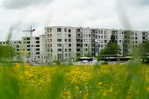 Ile zarabia deweloper? Zaskakujące fakty o wynagrodzeniach w branży