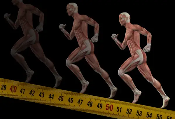 Anatomia biegu: zobacz, jakie mięśnie pracują przy bieganiu, od stóp po tułów. Mięśnie nóg i brzucha w akcji.