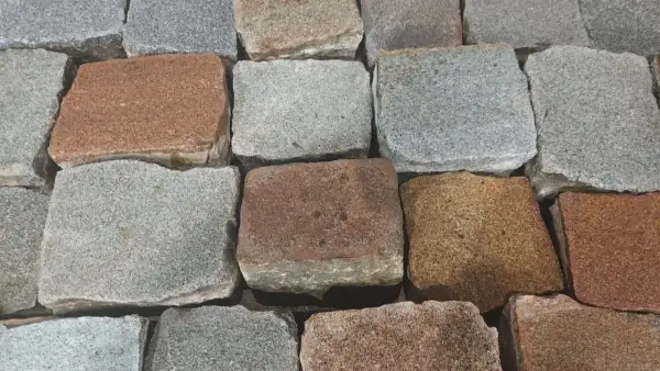Zbliżenie na brukowiec w różnych odcieniach szarości i brązu.