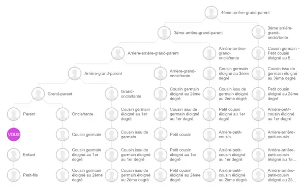 Arbre généalogique montrant les liens de parenté, de "VOUS" à des cousins éloignés, illustrant l'origine Kienast.