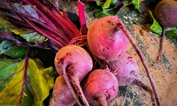 Frische Rote Bete Knollen mit grünen Blättern und roten Stielen liegen auf einer Holzoberfläche.