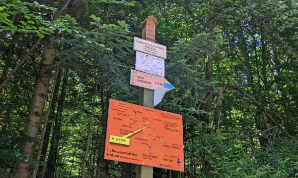 Tablica z drogowskazami w lesie. Wskazuje drogę do Hali Łabowskiej (2,3 km) i Doliny Łabowszczańskiej. Mapa szlaków turystycznych.