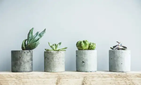 Jak zrobić ozdoby z betonu? Twój przewodnik DIY krok po kroku