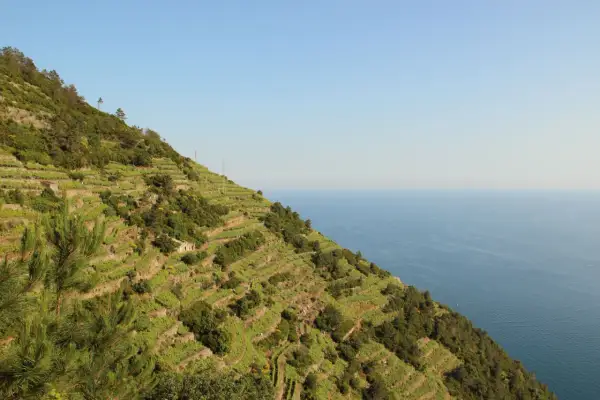 Terrazzamenti Liguria scolpiti nella roccia, vigneti a picco sul mare blu, un paesaggio mozzafiato.
