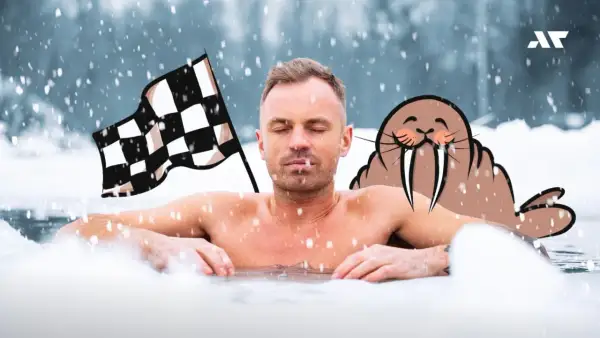 Mężczyzna w zimnej wodzie, z szachownicą i foką. Morsowanie daje hart ducha i odporność.