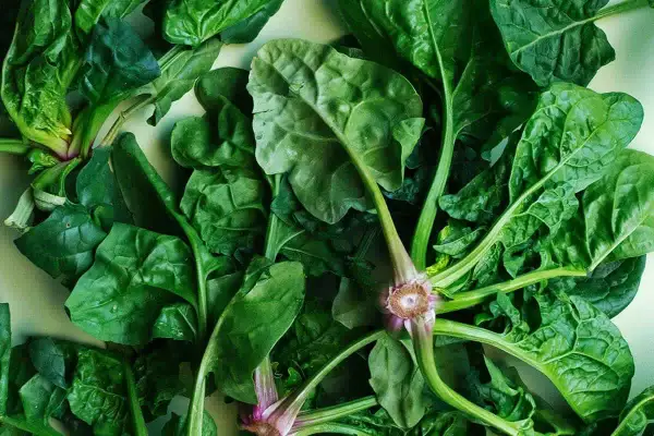 Foglie di spinaci freschi, pronte per la tavola. La loro coltivazione è semplice e gratificante, un tocco di verde per ogni piatto.