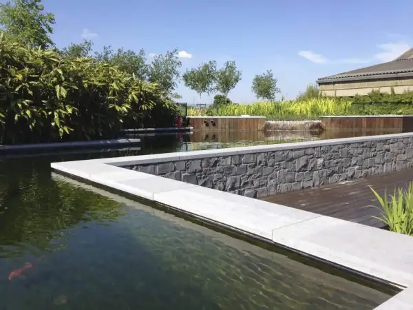 Un bassin avec un poisson rouge, des plantes luxuriantes et une cascade. Idéal pour savoir comment éclaircir l'eau d'un bassin à poissons.