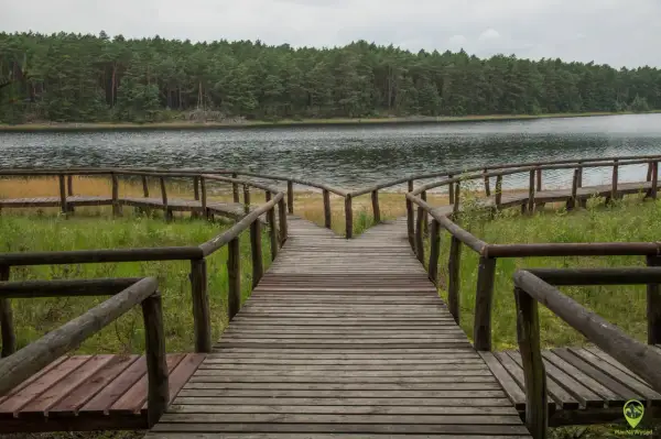 Bory Tucholskie: Atrakcje, trasy, co robić? Kompletny przewodnik
