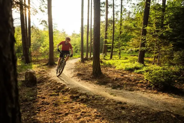 Rowerzysta na ścieżce w lesie, odkrywa urokliwe trasy rowerowe Racibórz. Słońce przebija się przez drzewa, tworząc magiczną atmosferę.