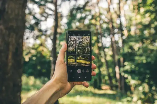 Jak nie zgubić się w lesie? Aplikacje i porady GPS