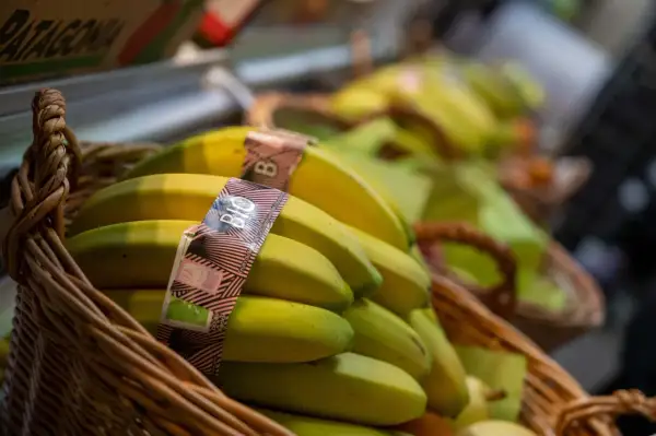 En korg med ekologiska bananer, perfekt för frukt på jobbet.