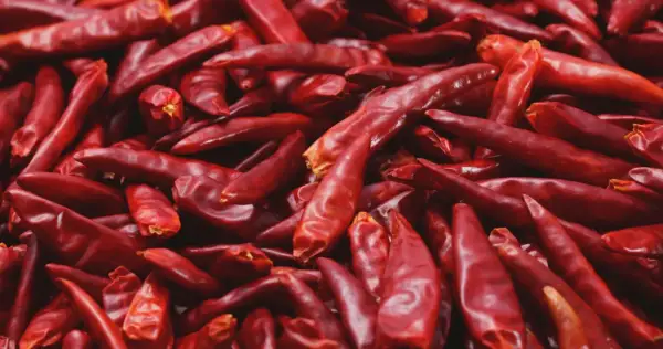 Góra suszonych, czerwonych papryczek chili, pełnych kapsaicyny, gotowych do dodania ostrości.