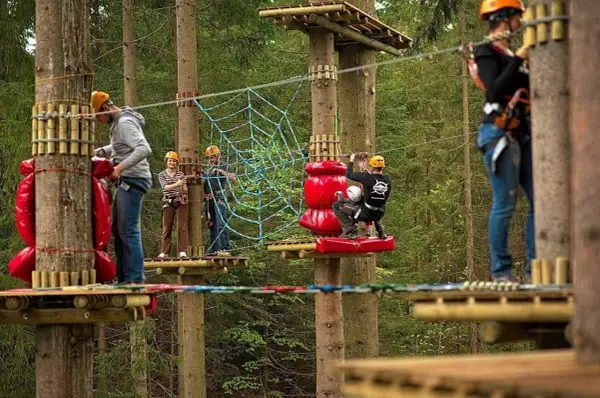 Park linowy Śląsk dla dzieci: Jak wybrać najlepszy i bezpieczny?