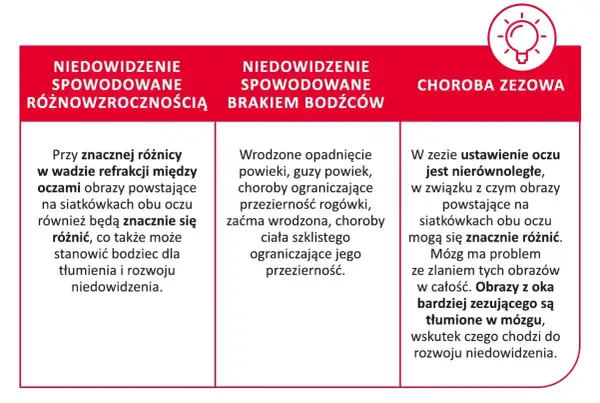 Niedowidzenie może być spowodowane różnicą wad refrakcji, brakiem bodźców lub zeza. Obrazy z oka zezującego są tłumione w mózgu.