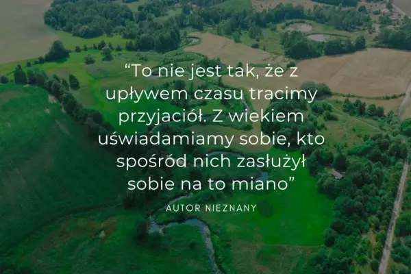 Cytaty o przyjaźni która się skończyła: Słowa ukojenia w trudnych chwilach