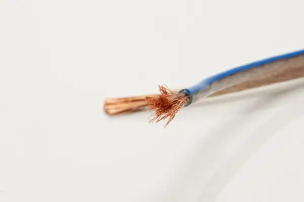 Rozplątane końcówki miedzianego kabla głośnikowego, z niebieską izolacją. Idealny do połączeń audio.