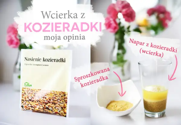 Nasiona kozieradki i sproszkowana kozieradka do przygotowania wcierki na włosy. Napar z kozieradki w szklance.
