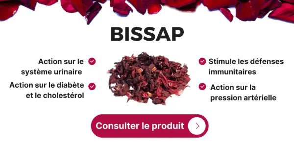 BISSAP, un ingrédient naturel aux multiples bienfaits : action sur le système urinaire, le diabète, le cholestérol, les défenses immunitaires et la pression artérielle.