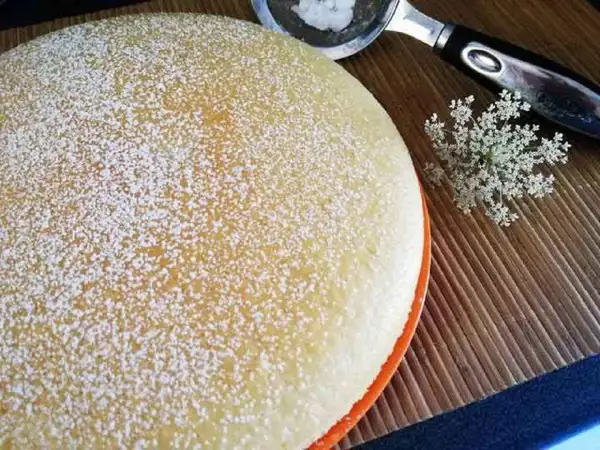 Torta vegana soffice e dorata, cosparsa di zucchero a velo. Accanto, un fiorellino bianco e un utensile da cucina.
