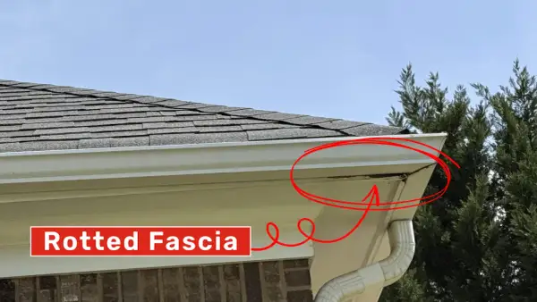 Rotted fascia board circled in red, indicating a need for fascia board replacement.