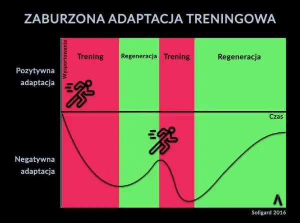 Kiedy jeść przed, a kiedy po treningu? Klucz do maksymalnych efektów i regeneracji