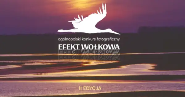 Ogólnopolski konkurs fotograficzny "Efekt Wołkowa" II edycja. Sylwetka ptaka na tle zachodzącego słońca nad wodą.