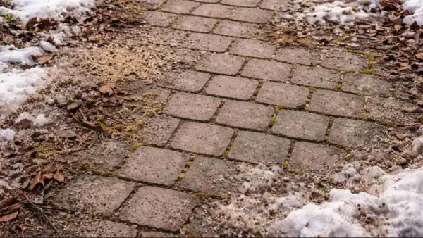 Ein Weg aus rechteckigen Pflastersteinen, der im Winter mit Schnee und Laub bedeckt ist. Die Steine sind unregelmäßig verlegt, was den Eindruck von **pflastersteine schneiden** erweckt.
