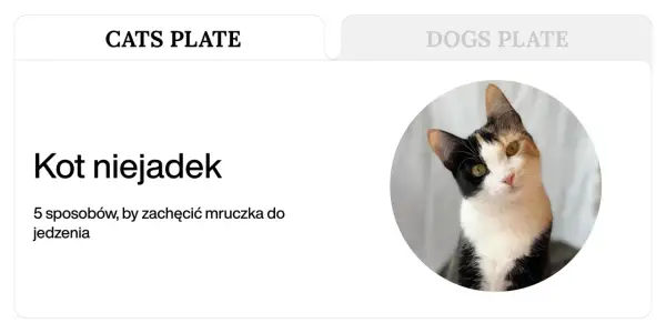 Trójkolorowy kotek z zaciekawieniem spogląda na czytelnika. Artykuł "Kot niejadek" podpowiada, jak znaleźć dobrą karmę dla kota niejadka.