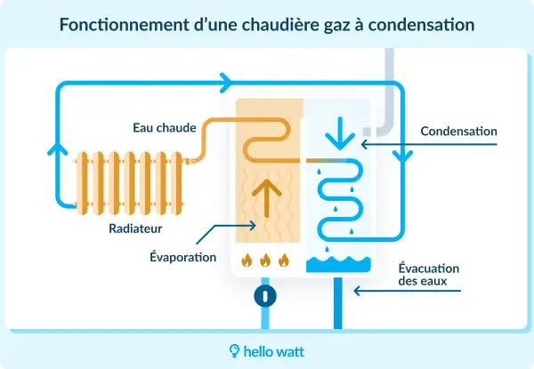 Schéma illustrant le fonctionnement d'une chaudière gaz à condensation, montrant le circuit de l'eau chaude vers le radiateur, l'évaporation et la condensation.