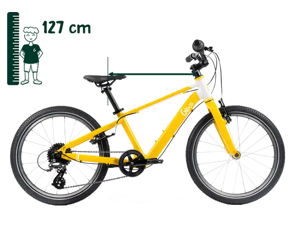 20 Zoll Fahrrad: Welches ist das Beste für mein Kind? Expertentipps