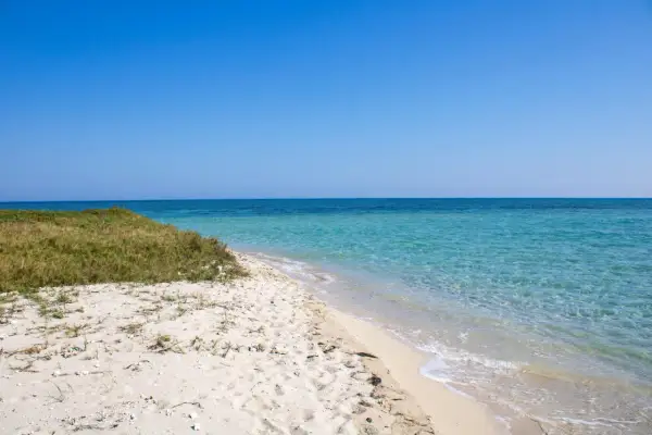 Arena blanca y aguas cristalinas en la playa Borna, con vegetación verde y un cielo azul intenso.