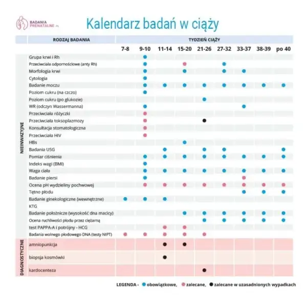 Kiedy pierwsze badania prenatalne? Terminy, NFZ i co dalej?