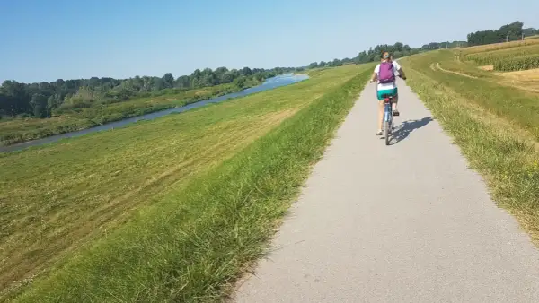 Kobieta na rowerze przemierza malowniczą wiślaną trasę rowerową Kraków-Niepołomice, otoczoną zielenią i spokojną rzeką.
