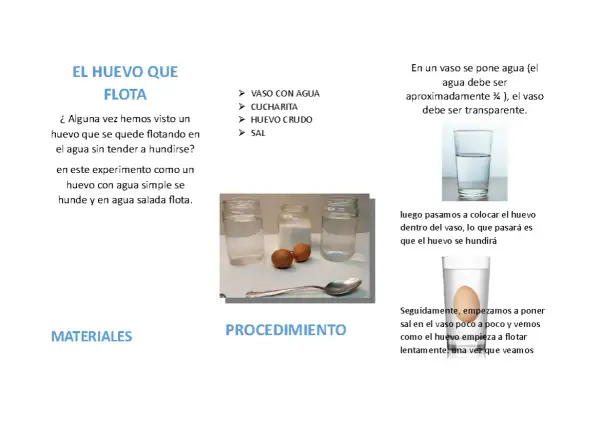 Un huevo flota en agua salada en un experimento.