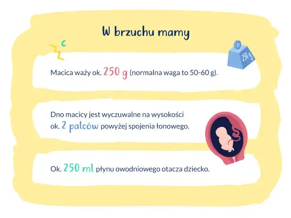 16 tydzień ciąży to już 4 miesiąc. Macica waży ok. 250 g, a dziecko otacza 250 ml płynu.