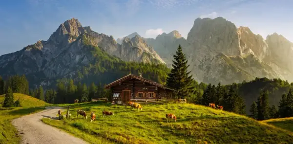 Holzhütte mit Kühen auf einer Alm, umgeben von majestätischen Alpen. Ein idyllischer Ort für einen Alpen Urlaub.