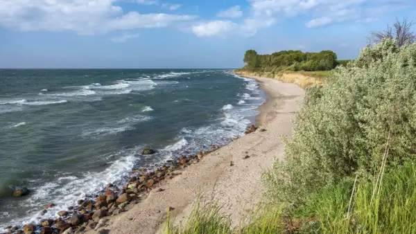Windige Ostsee bei Berlin. Wellen brechen an einem steinigen Strand, dahinter eine sandige Steilküste mit Bäumen.