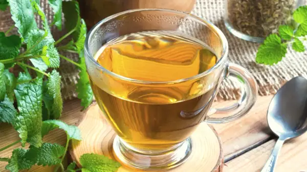 Aromatic melisa w szklance, idealna do parzenia. Zioła i łyżeczka obok.