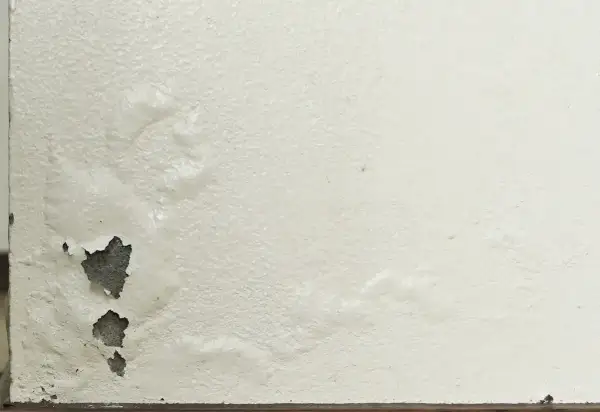 Rigonfiamento muro interno con intonaco scrostato e aree umide visibili.
