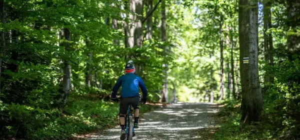 Rowerzysta na ścieżce leśnej, podążający za zielonym szlakiem. Słońce przebija się przez liście drzew.