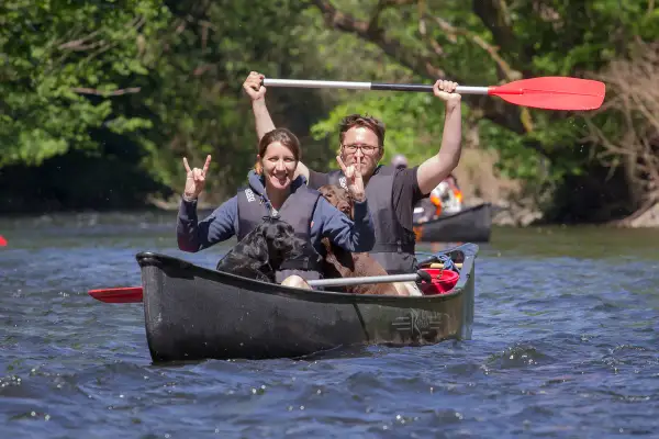 Glückliche Menschen und ihre Hunde genießen eine Kanutour NRW. Sie paddeln auf einem Fluss, die Sonne scheint, und die Stimmung ist ausgelassen.