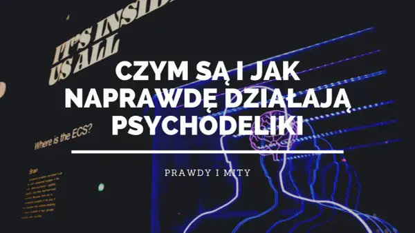 Czym są i jak naprawdę działają psychodeliki? Grafika przedstawia schematyczne sylwetki ludzi i mózg, sugerując eksplorację umysłu.