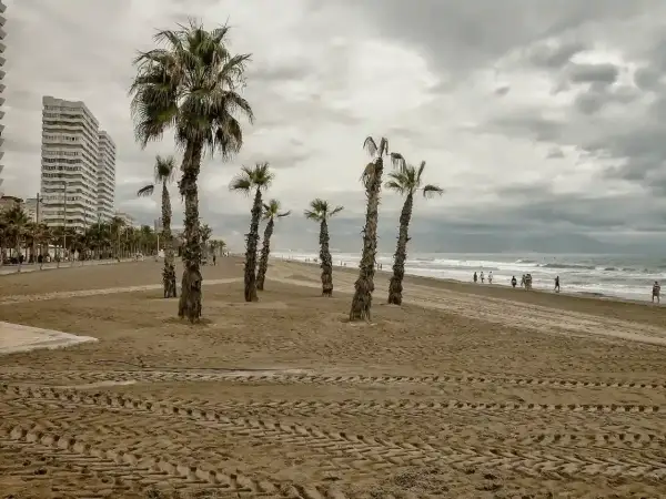 Palmeras en la cala de San Juan, con un edificio alto al fondo y gente paseando por la orilla.