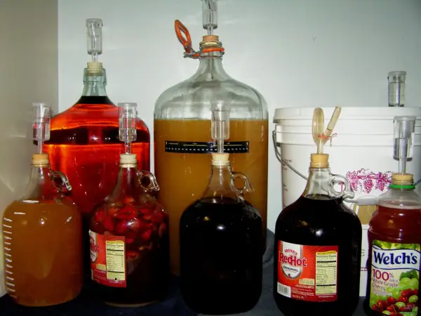 Wiele butli z płynami do fermentacji, w tym wino i sok. Czy mieszać wino podczas fermentacji?