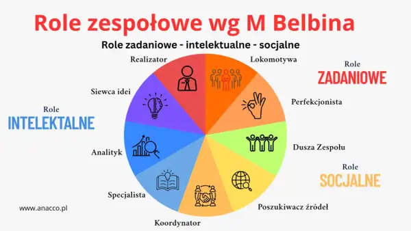 Diagram ról zespołowych wg M. Belbina: zadaniowe, intelektualne, socjalne. Kluczowe dla przywództwa w organizacji.