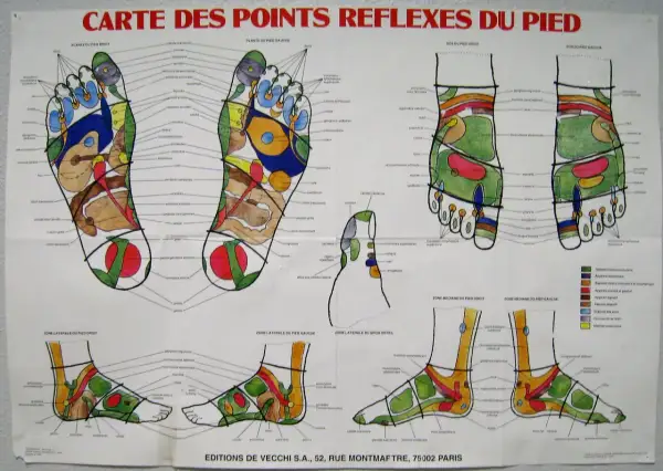Carte des points réflexes du pied, un guide visuel pour le point reflexologie plantaire et ses bienfaits.