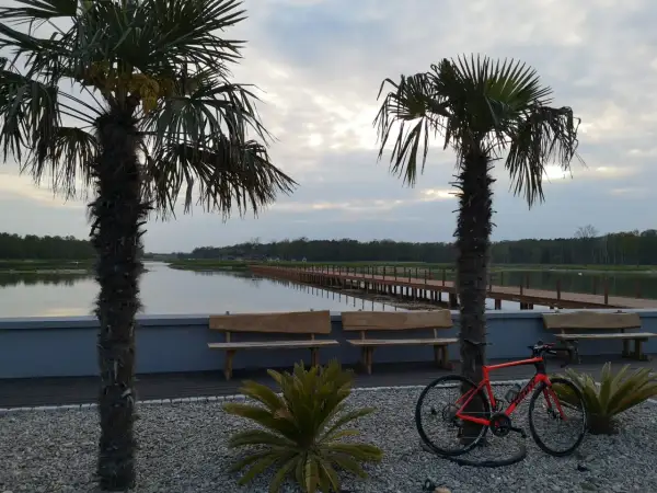 Pomarańczowy rower czeka na odkrycie **tras rowerowych Łódź** nad spokojną wodą, wśród palm i drewnianych ławek.