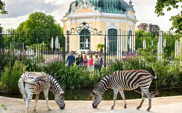 Dwie zebry pasą się przed pięknym, żółtym budynkiem w zoo w Wiedniu. Grupa ludzi obserwuje zwierzęta.